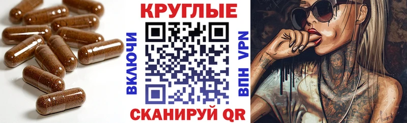 даркнет Telegram  Агрыз  Ecstasy Дубай 