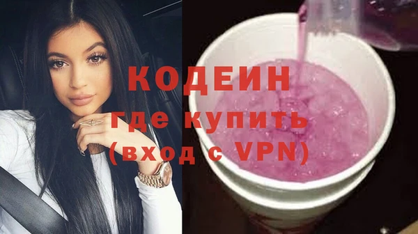 соль ск Бердск