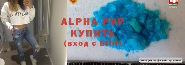 соль ск Бердск