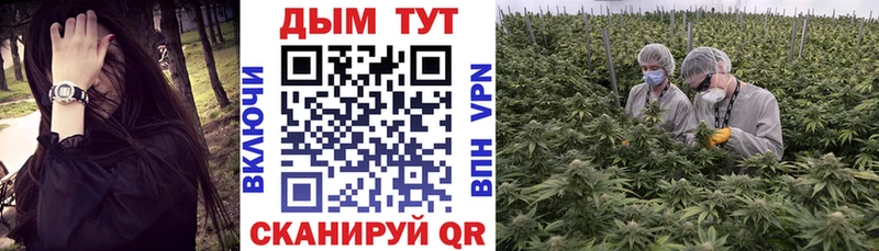 Конопля марихуана  Агрыз 